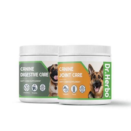 Active Dog Bundle
