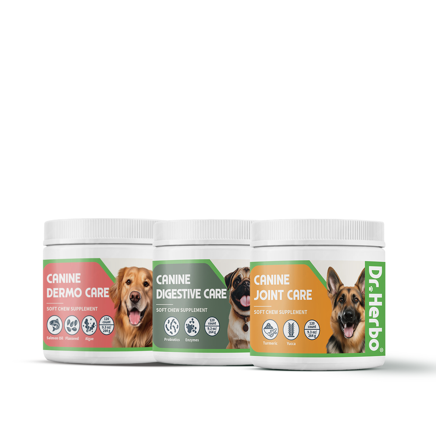 Daily Wellness Bundle - 120 Chews Each