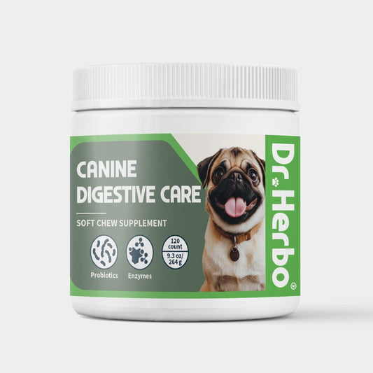 Canine Digestive Care Soft Chew